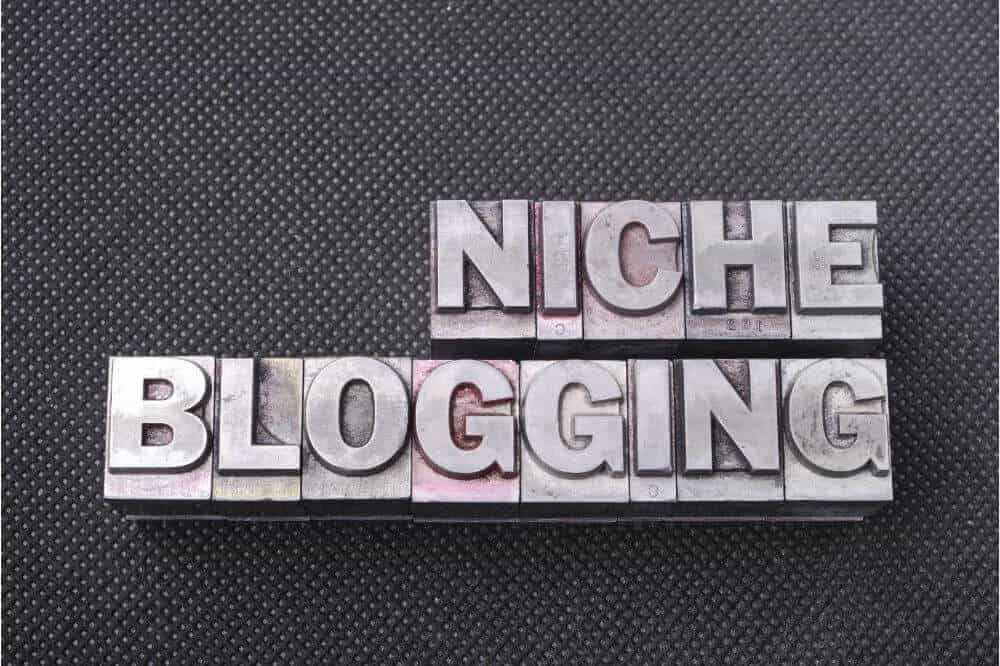 Right Blogging Niche