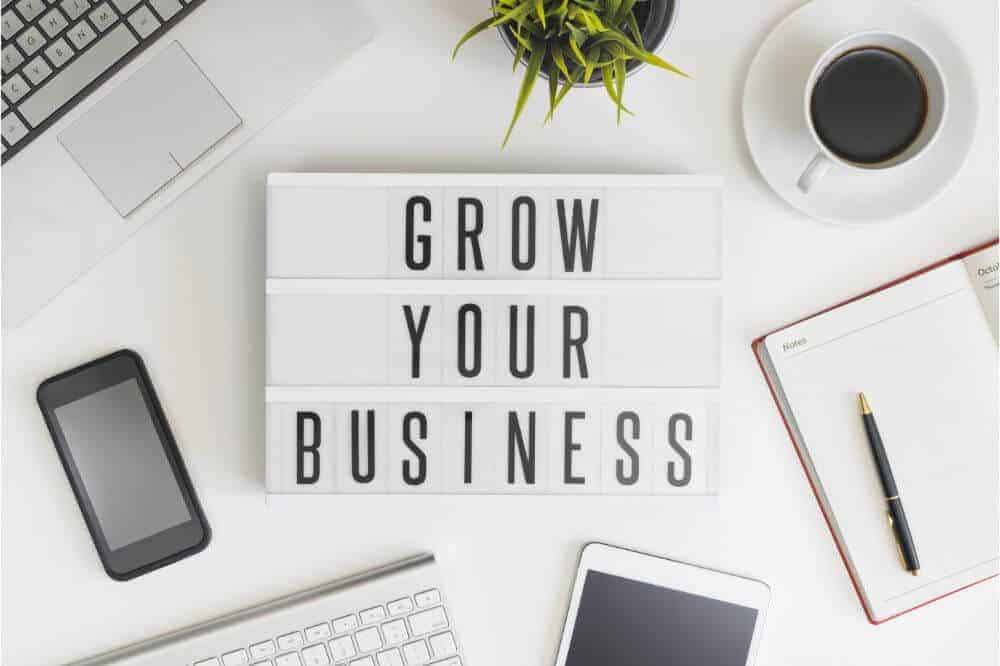 STRATEGIC OPTIONS FOR BUSINESS GROWTH ONLINE