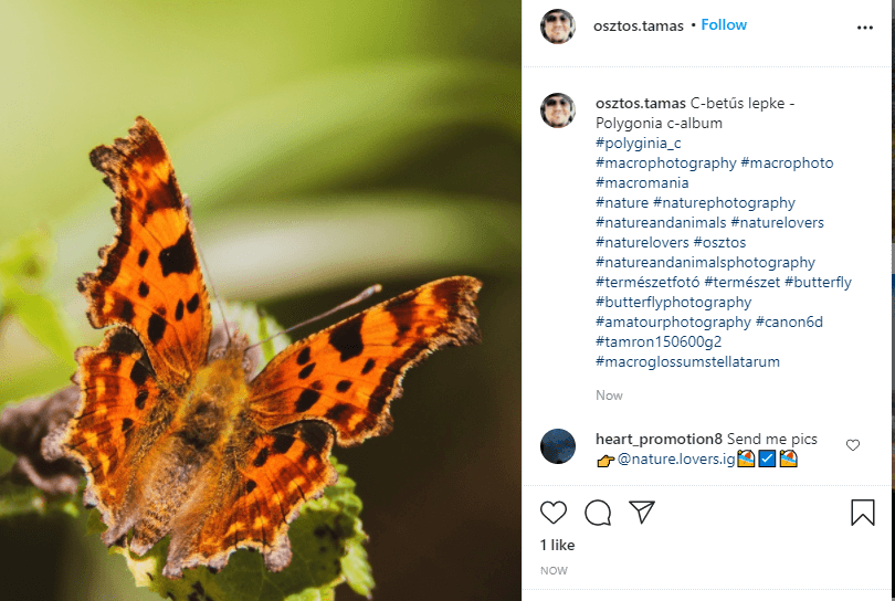 Best Instagram Captions for Nature