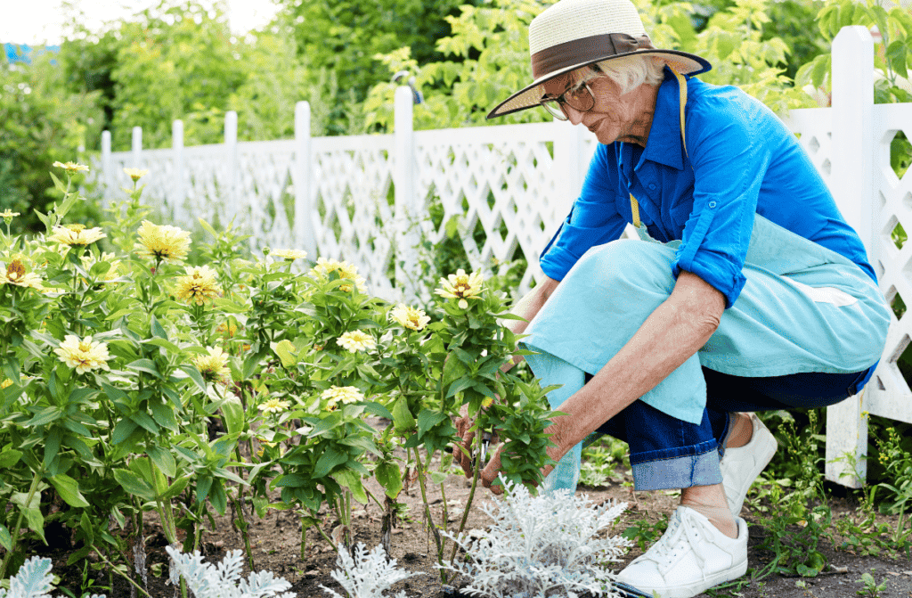 Healthy Things for Bored Seniors
