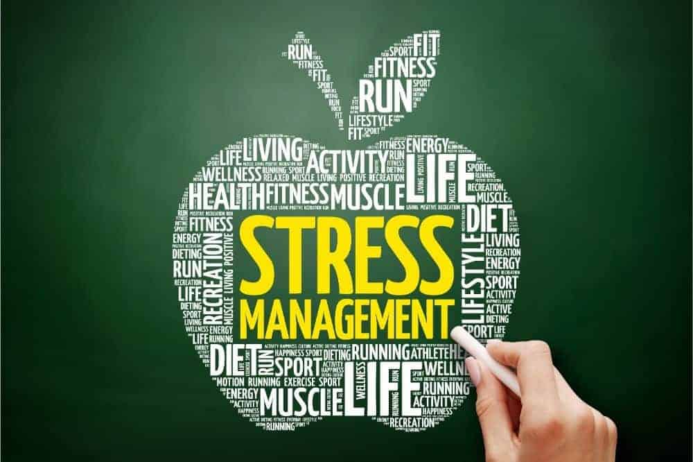 15 Stress Management Techniques in 2021 You Need to Apply in Your Online Business