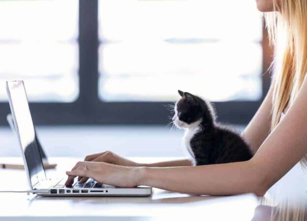 Best Online Communication Tools