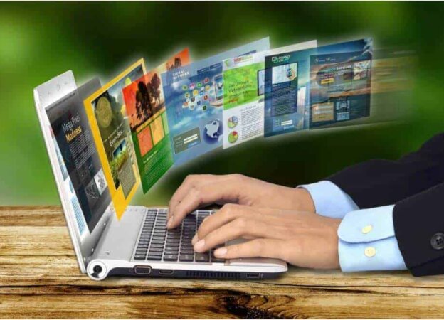 Niche Sites vs. Authority Sites
