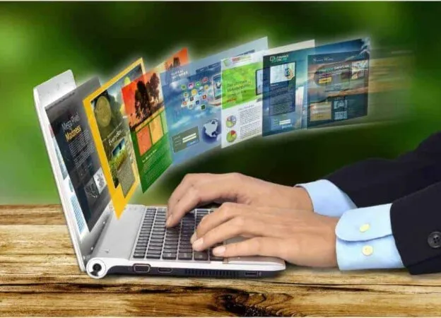 Niche Sites vs. Authority Sites