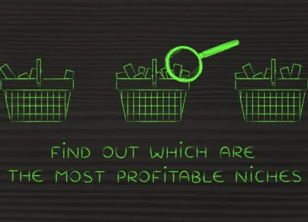 Profitable Niche for Your Online Business