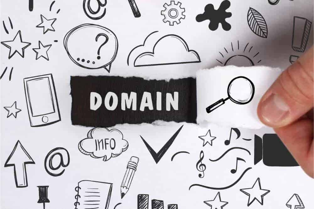 Aged Domain vs. New Domain