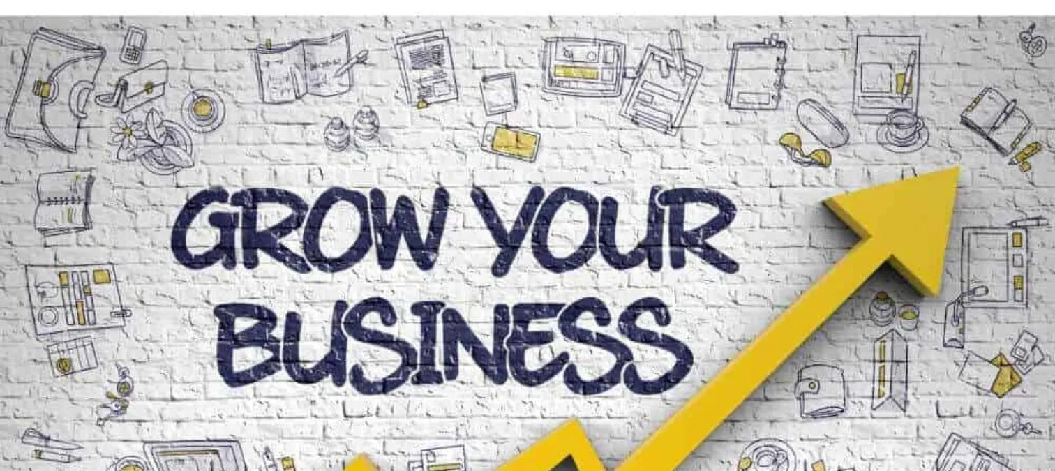 Business Growth Strategies
