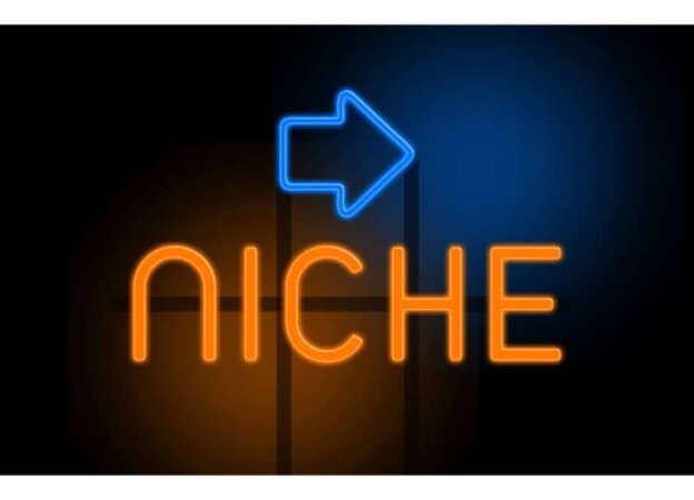 Right Blogging Niche