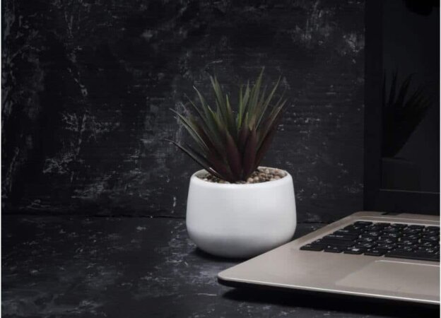 Tips to Balance Remote Working