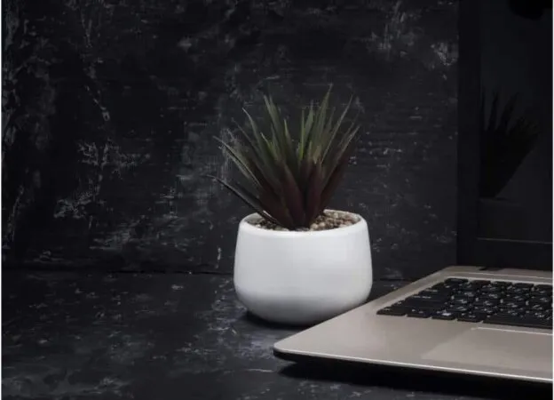 Tips to Balance Remote Working
