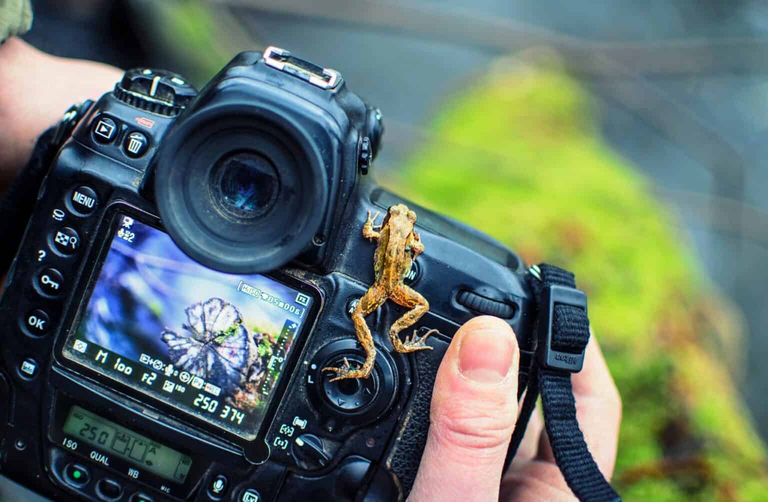 Tips on What Type of Art Sells Best Online in 2023