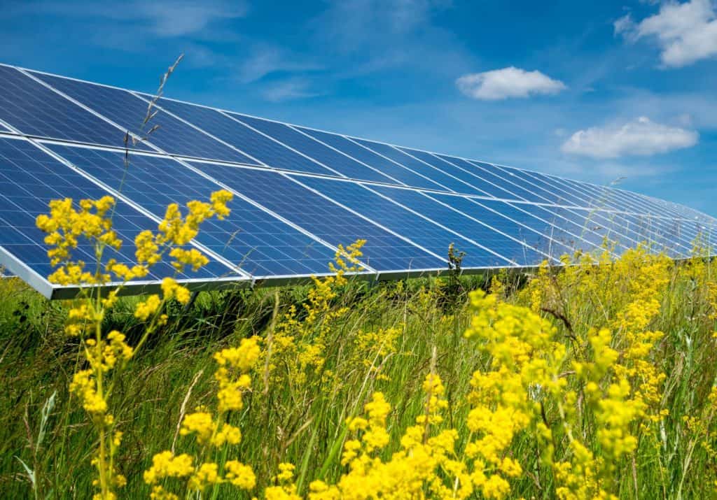 green energy solar panels in field