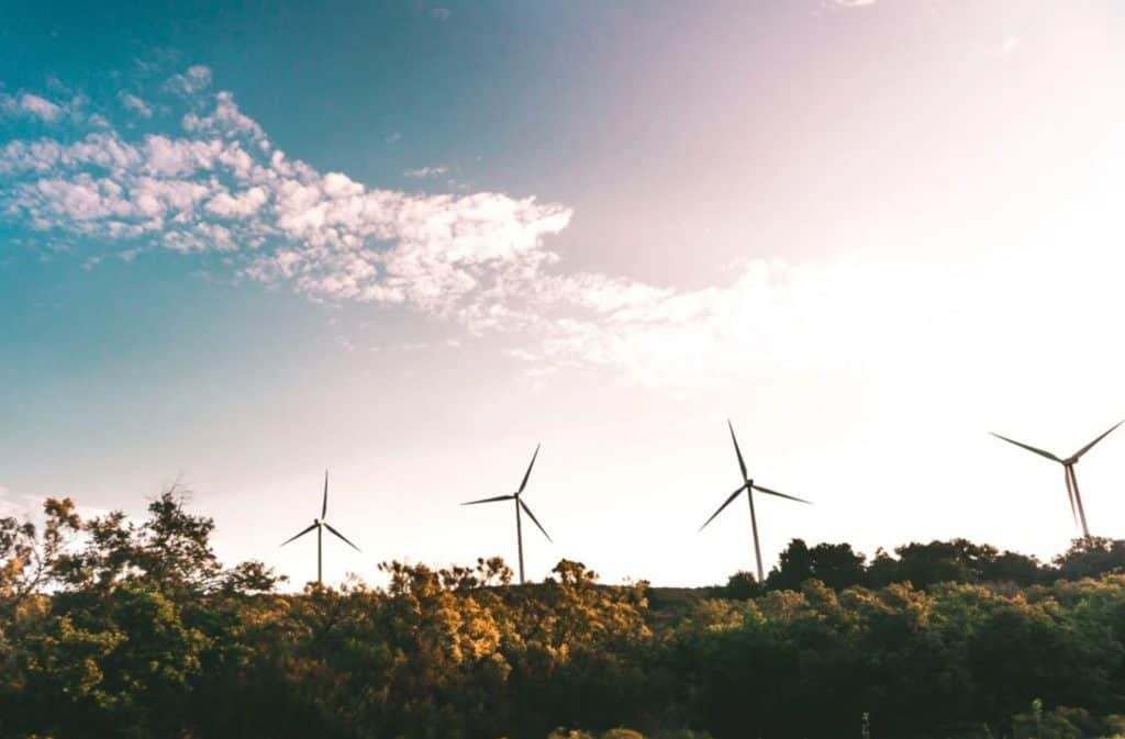 wind turbines in a field