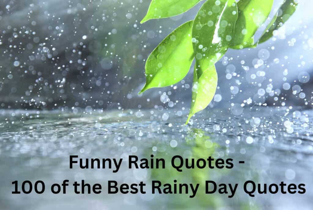 funny rain quotes