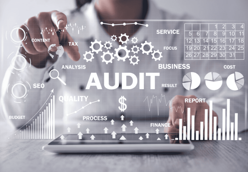 Accounts Audit