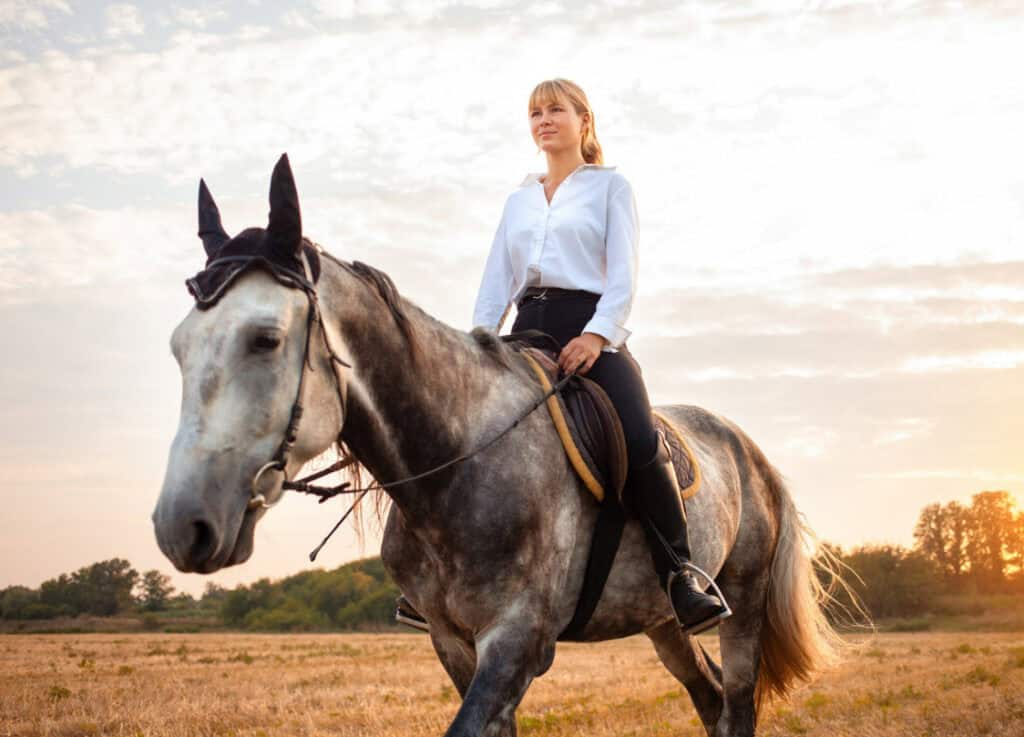 Ladies Equestrian Clothing