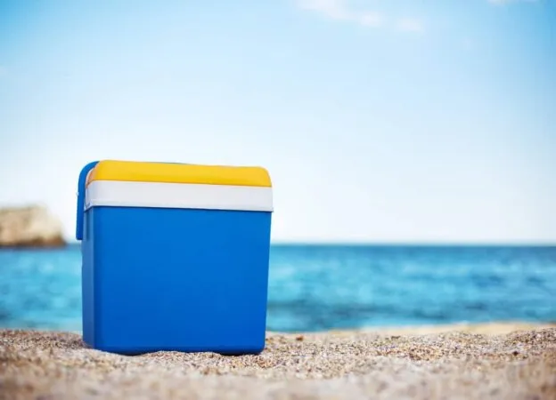 Cooler