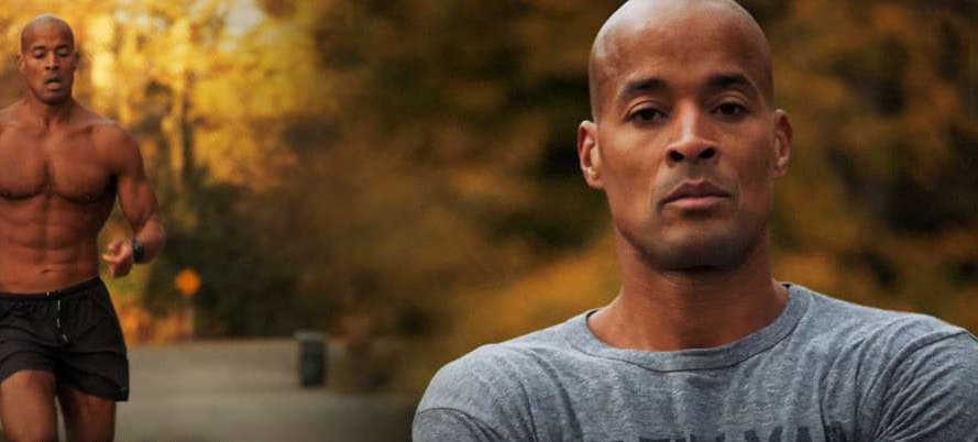 david goggins quotes