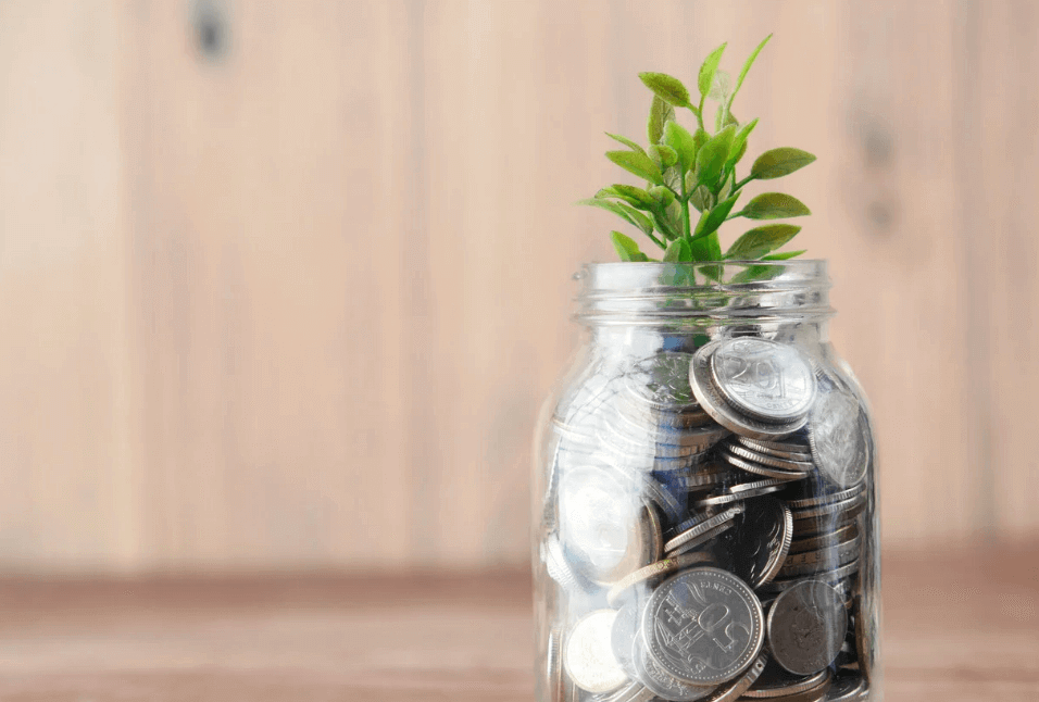 online entrepreneurs